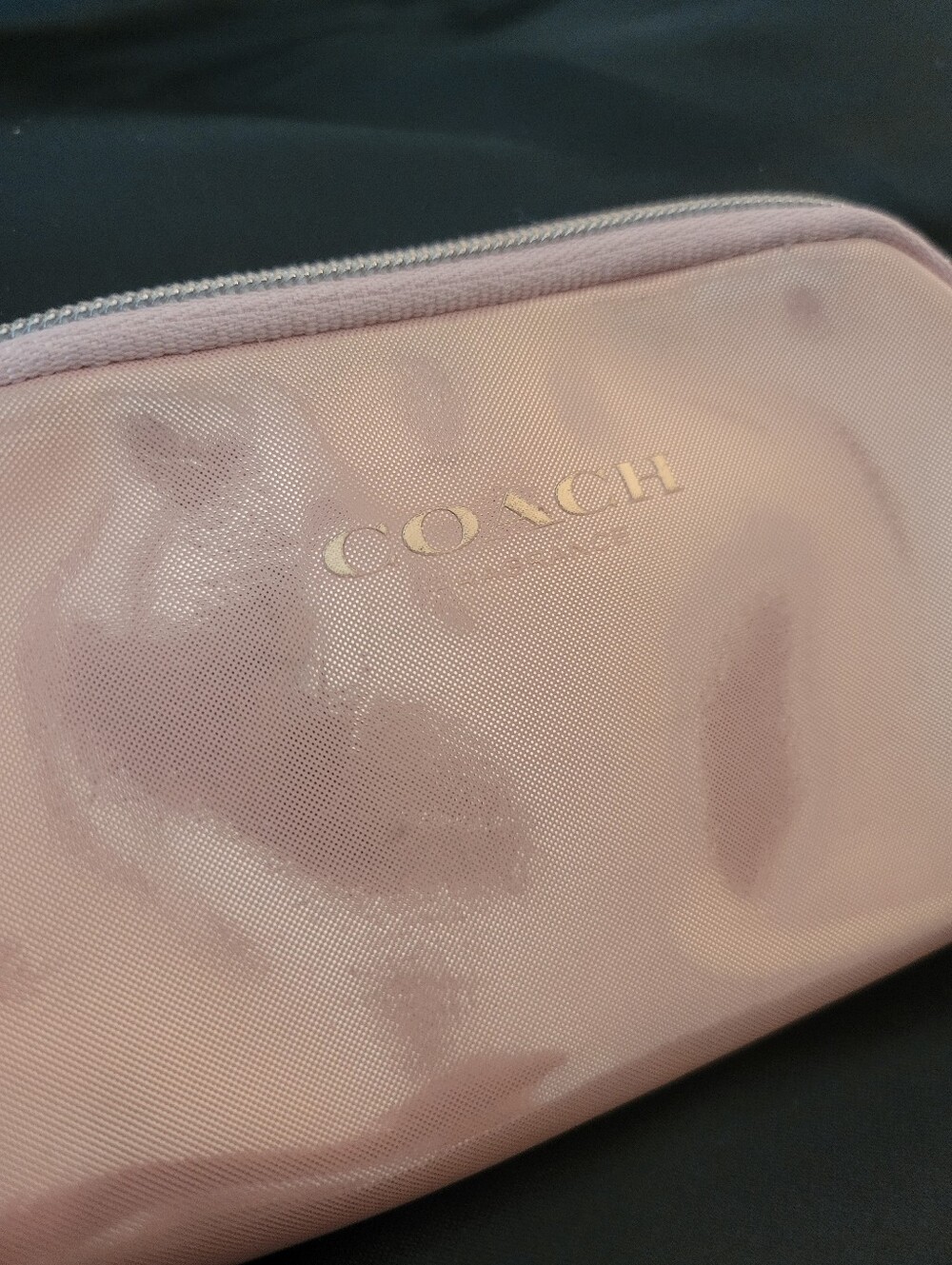 Coach Fragrance Iridescent Pink Shimmer Cosmetic Makeup Pouch GWP New
